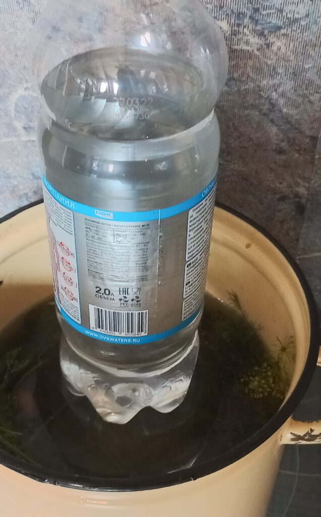 Небольшой гнёт